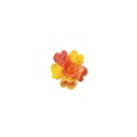 Petite rose arôme fruits exotiques (x72) Petite rose arôme fruits exotiques (x72)