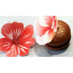 Fleurs et feuilles en azyme