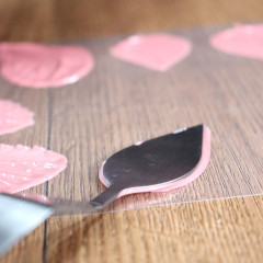 Décoration culinaire