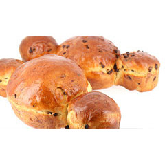 Tout pour les coquilles